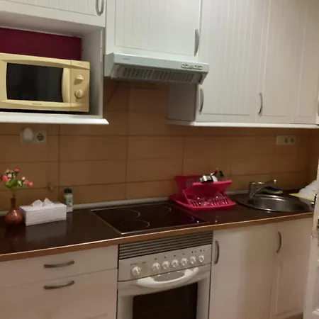 Rurales Corias Apartment *